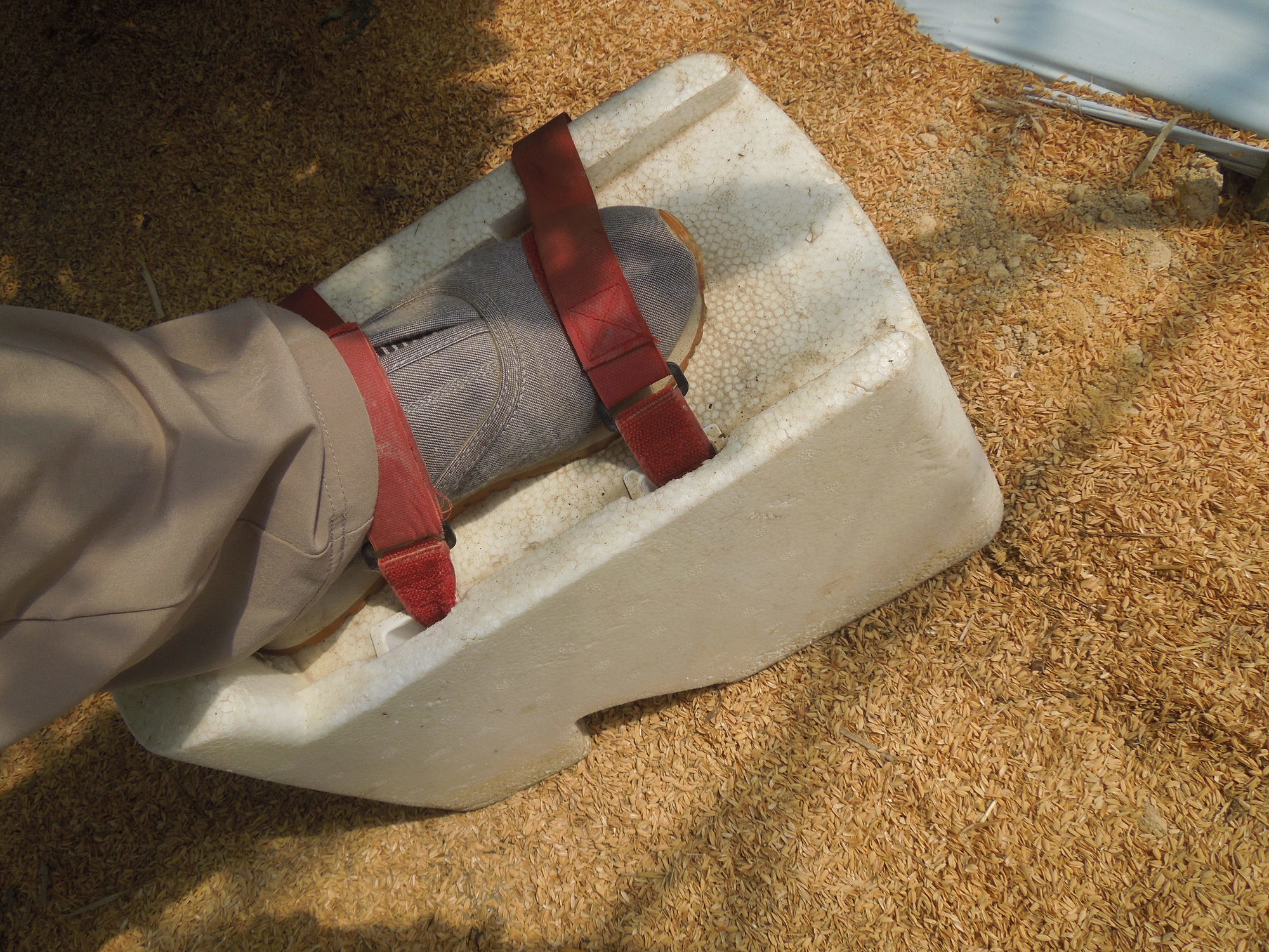 高下駄登場: 湯野でトマト農家になろう